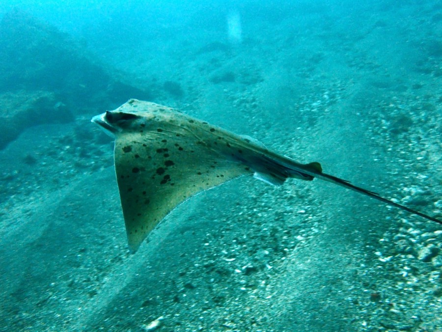 １２/５　黄金崎に行ってきました(^^)/