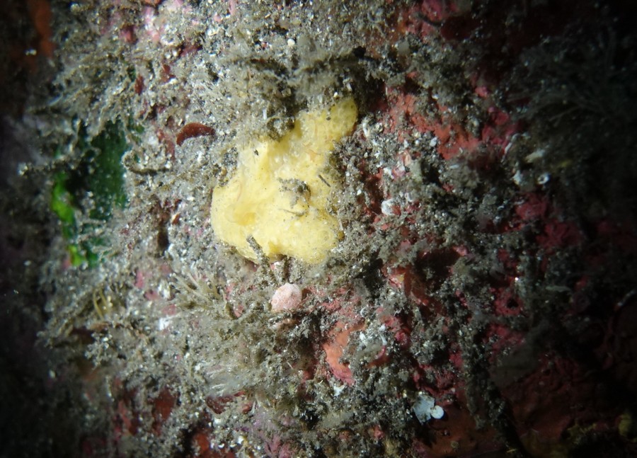 １２/５　黄金崎に行ってきました(^^)/