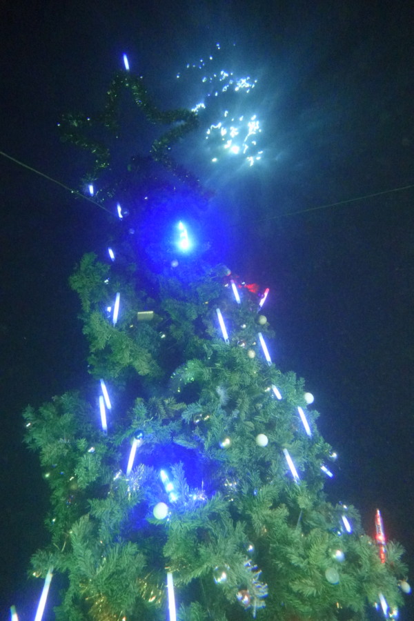 12/19　富戸：ニシキフウライウオ、イバラタツ、クマドリカエルアンコウ、クダゴンベ、カンナツノザヤウミウシ…書ききれない盛り沢山＼(^o^)／