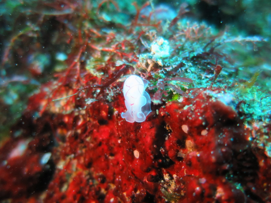 １/４　富戸ホールきてます！！(≧▽≦)