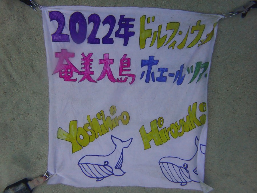 ドルフィンウェーブ 地形満喫宮古島ツアー 2022\(^o^)/