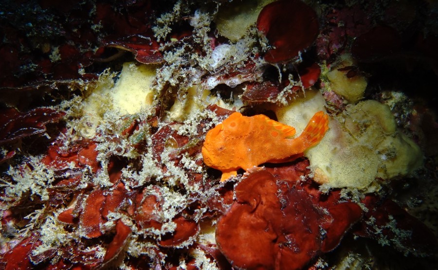 3/18 雲見に行ってきました！