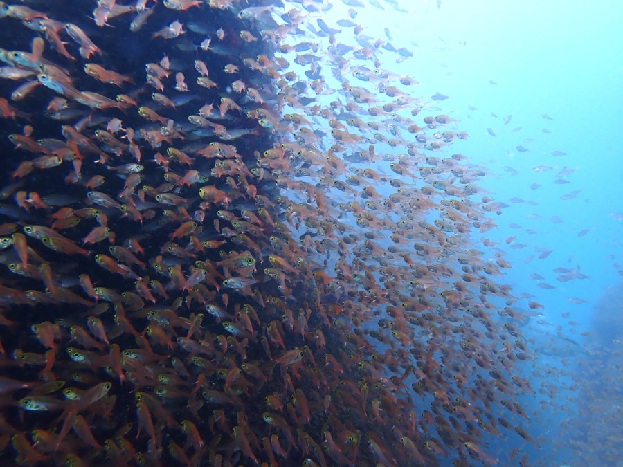 3/29 雲見へ行ってきました~♪