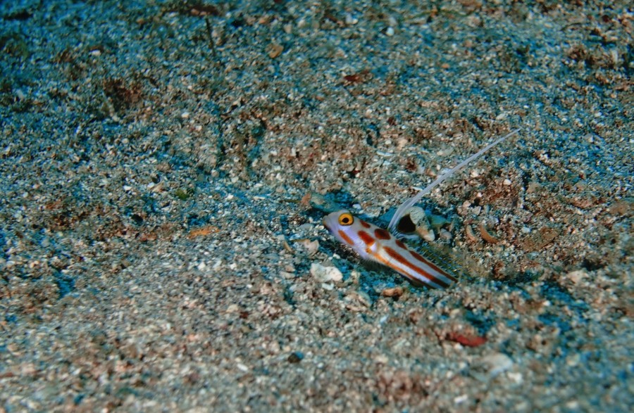 4/16 田子へ行ってきました♪