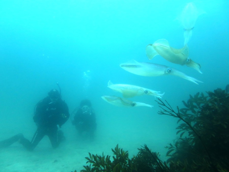 ４/２３　外れのないテトラポットの群れ達♪