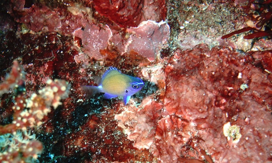 ６/２８　東海地方、梅雨明けしましたよ〜！！