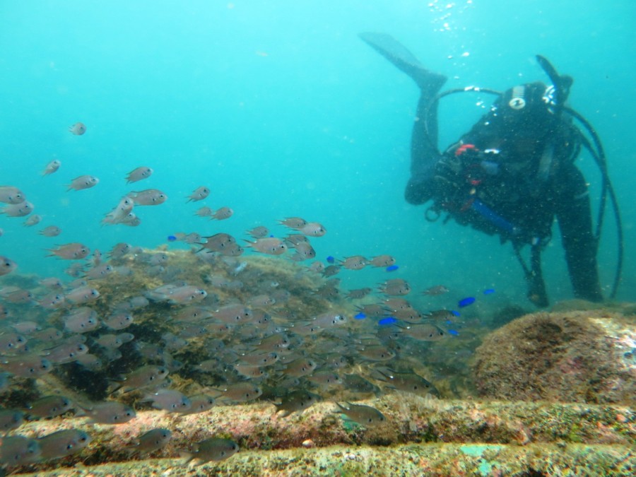 ８/１４　水温差は凄いけど綺麗なエリアでのカリフラワー畑♪