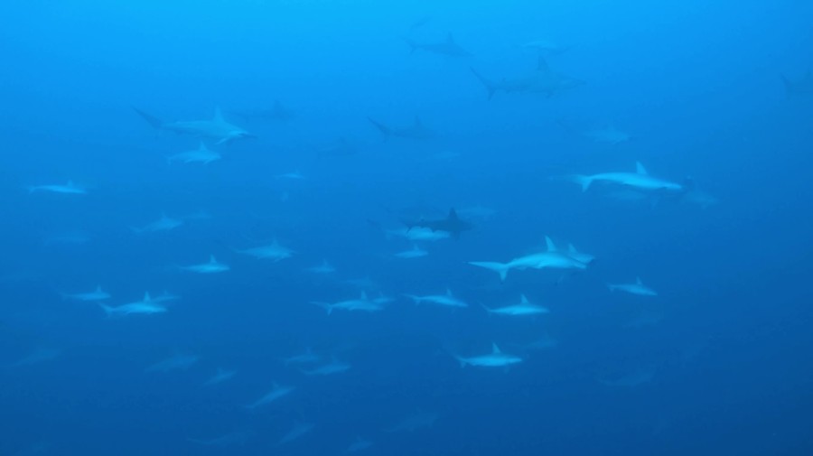 10/18　西伊豆：黄金崎へ…