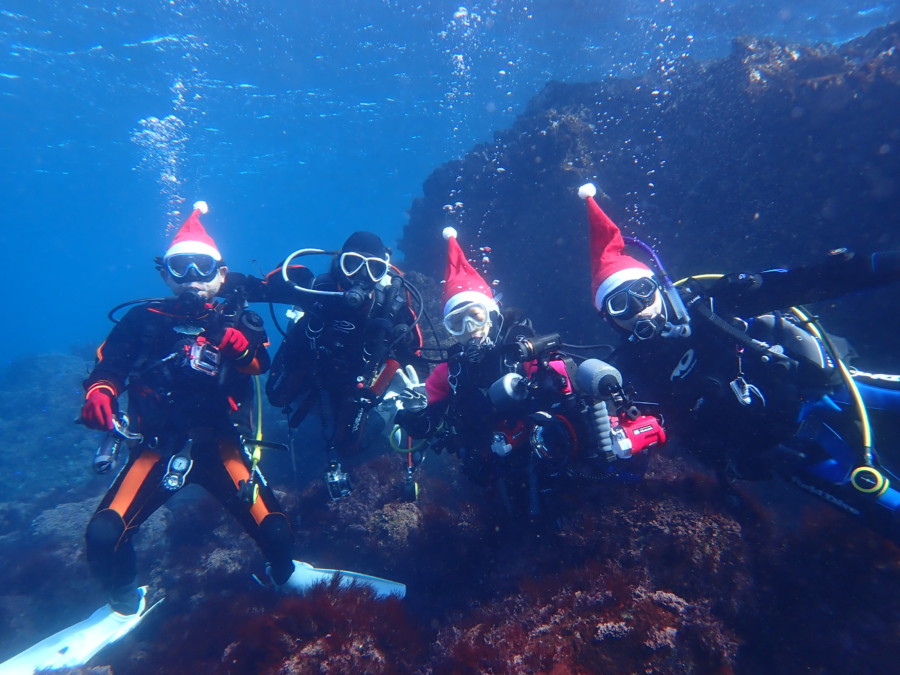 ２０２２年ドルフィンウェーブ年末ナイト＆年越しパーティー＼(^o^)／