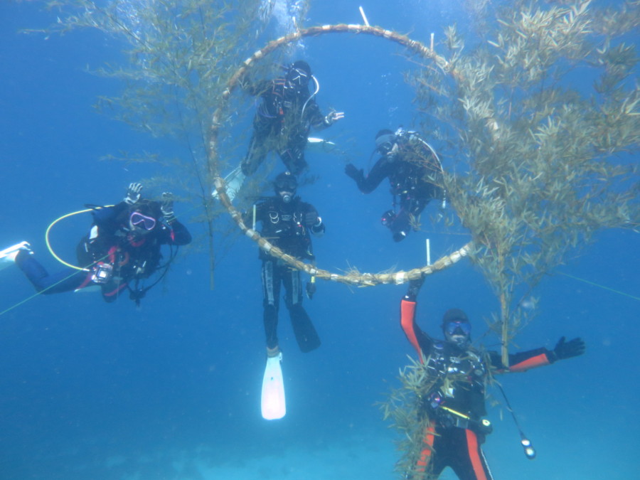 １２/３１　大晦日の夜は富戸＆伊豆海洋公園でナイトダイビングにも行ってきました(≧▽≦)