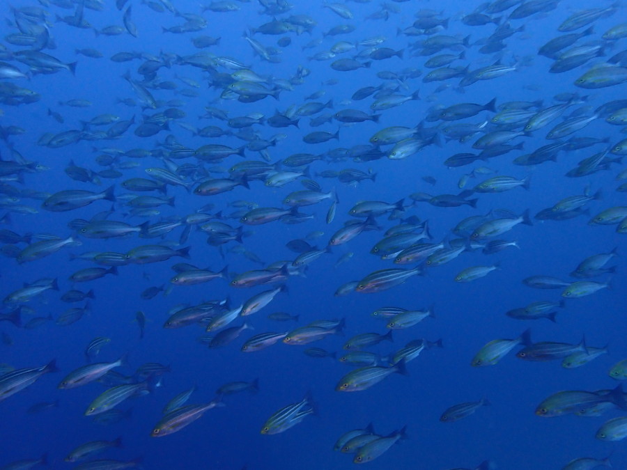 1/4 透明度20mと最高のコンディションです(*^^)v