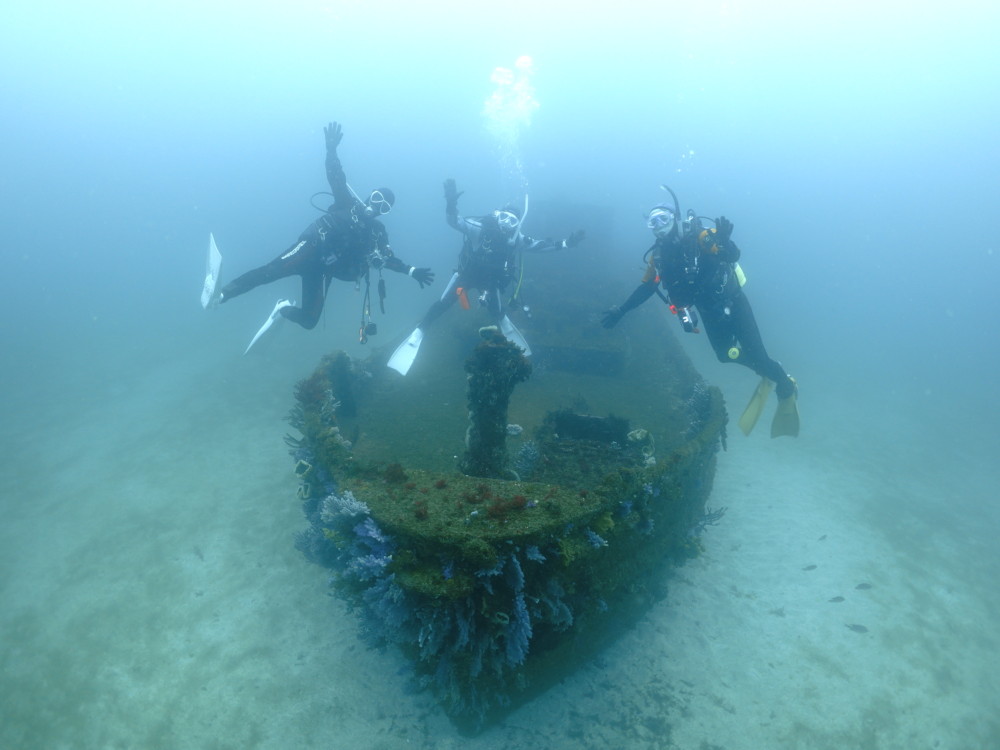 ３/３０　富戸：テトラポットの群れ♪ミニミニ小指サイズのイロカエルアンコウ^^v