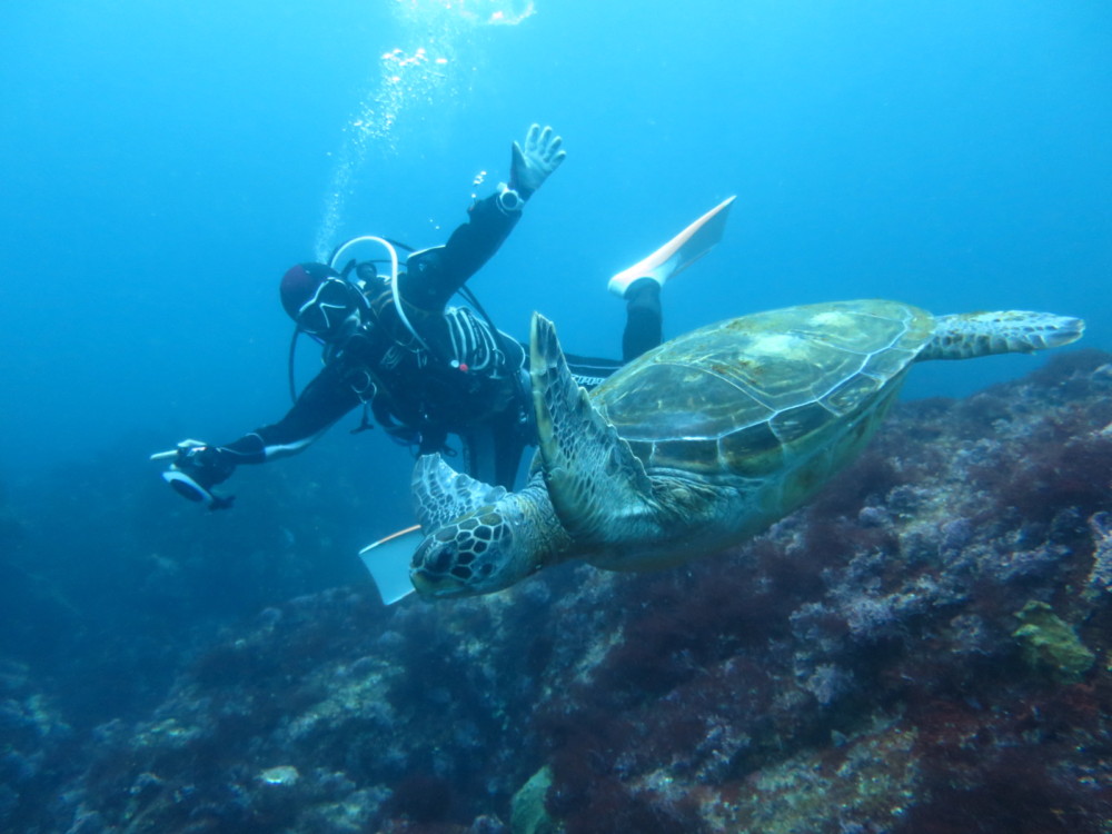 ４/２３　八幡野に行ってきました(^o^)