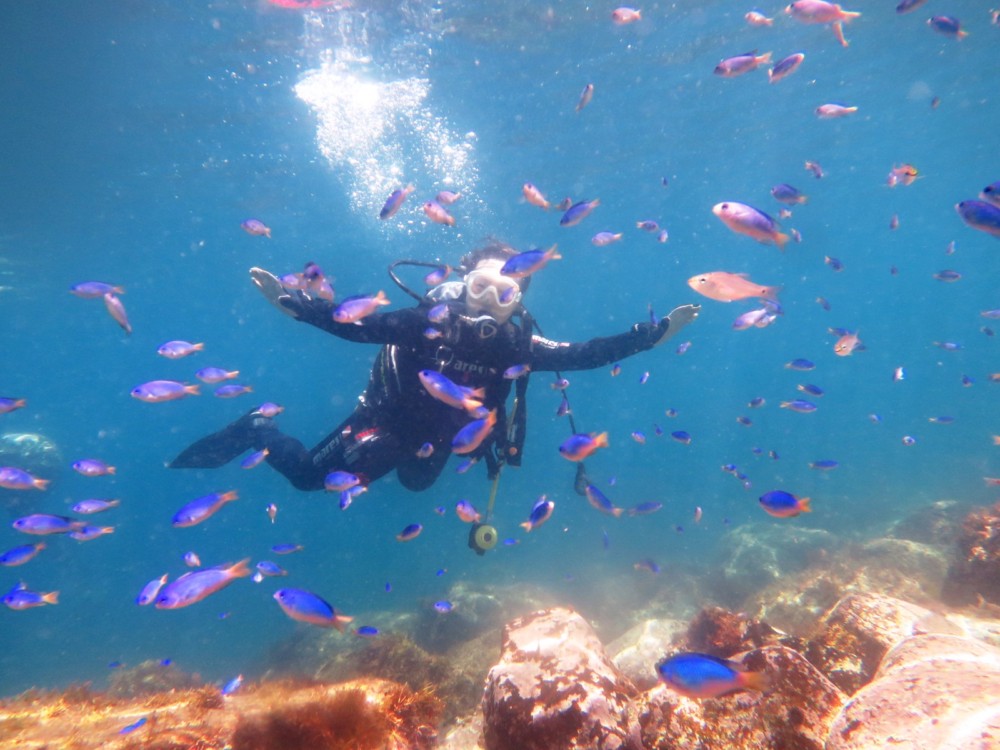 ７/２２〜２３　富戸限定ボートポイントピラミッド＆レイポイントで潜ってきました♪