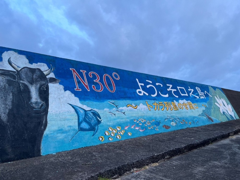 7/11-12ドルフィンウェーブ伊東&初島1泊ツアー\(^o^)/