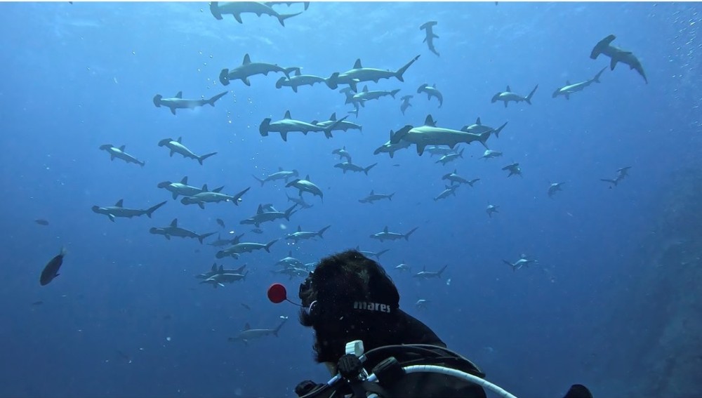 ７/２４　水温快適♪浅瀬のソラスズメダイが増え夏の海になってきた〜＼(^^)／