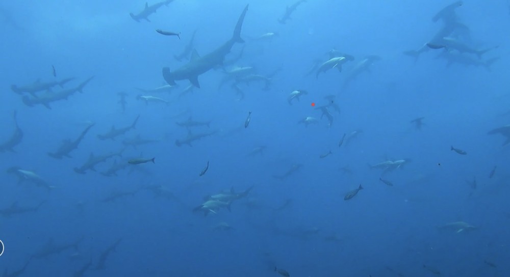 ７/１６　真夏の天気で富戸ホールの光柱もどーん！！＼(^_^)／