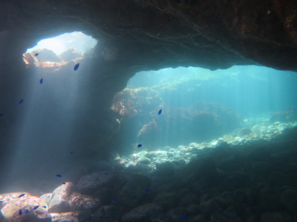 ８/２６　本日はナイトダイビングにも行ってきました(*^O^*)