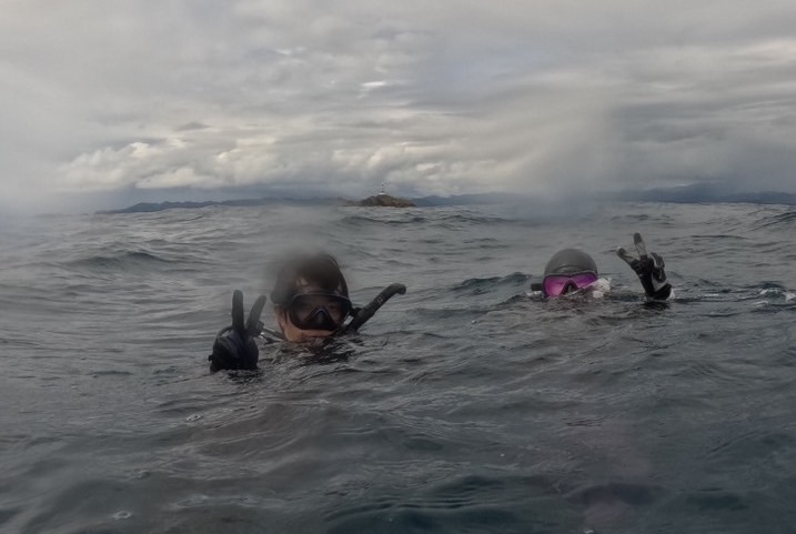 ９/１１　ナンヨウハギに癒やされるボートダインビング(*^O^*)