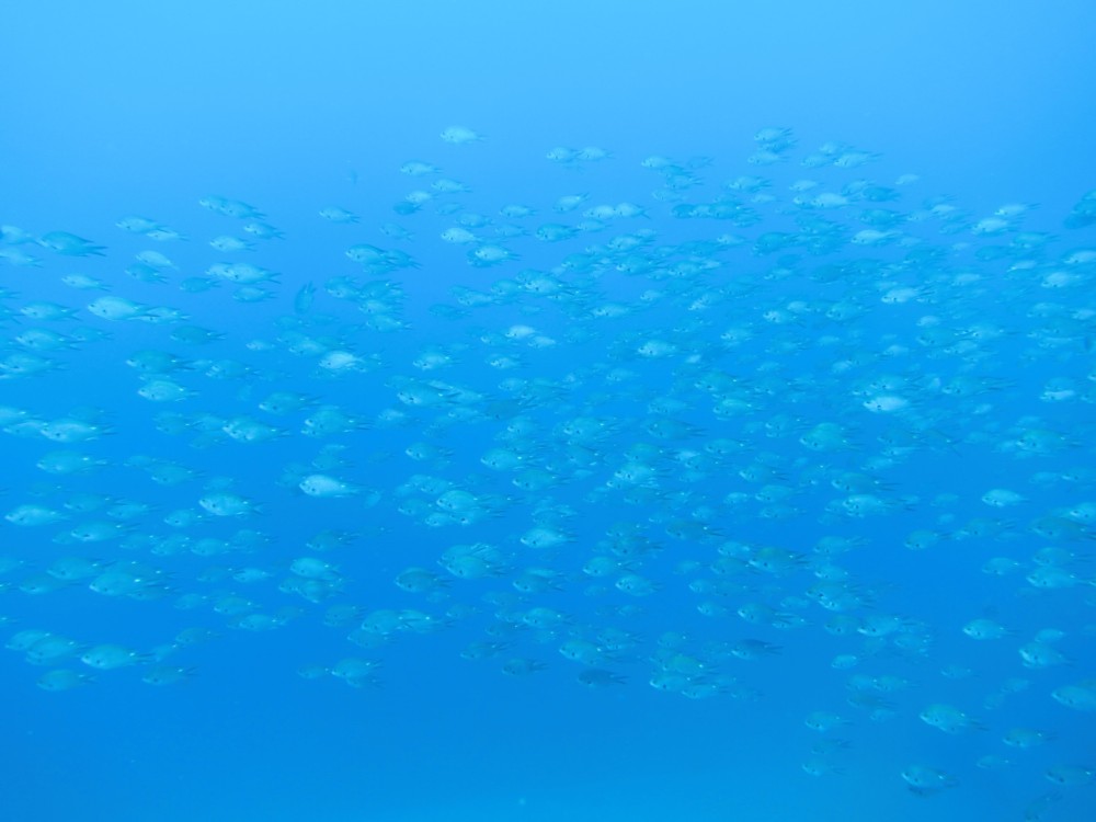 １/１９　本日は井田に行ってきました(^^)/