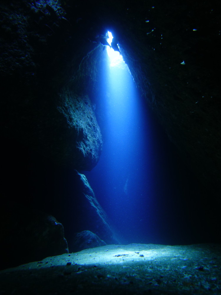 ２/２５　伊豆：リクエスト頂いた伊東限定ポイントへ行けず。。。田子へ行ってきました♪