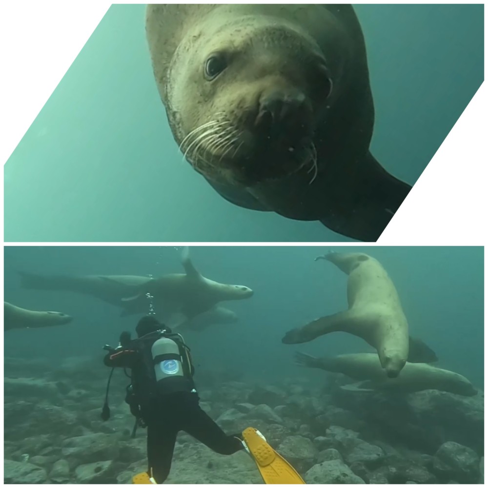 ２/２４　本日は雲見で光＆陰を満喫(^^)