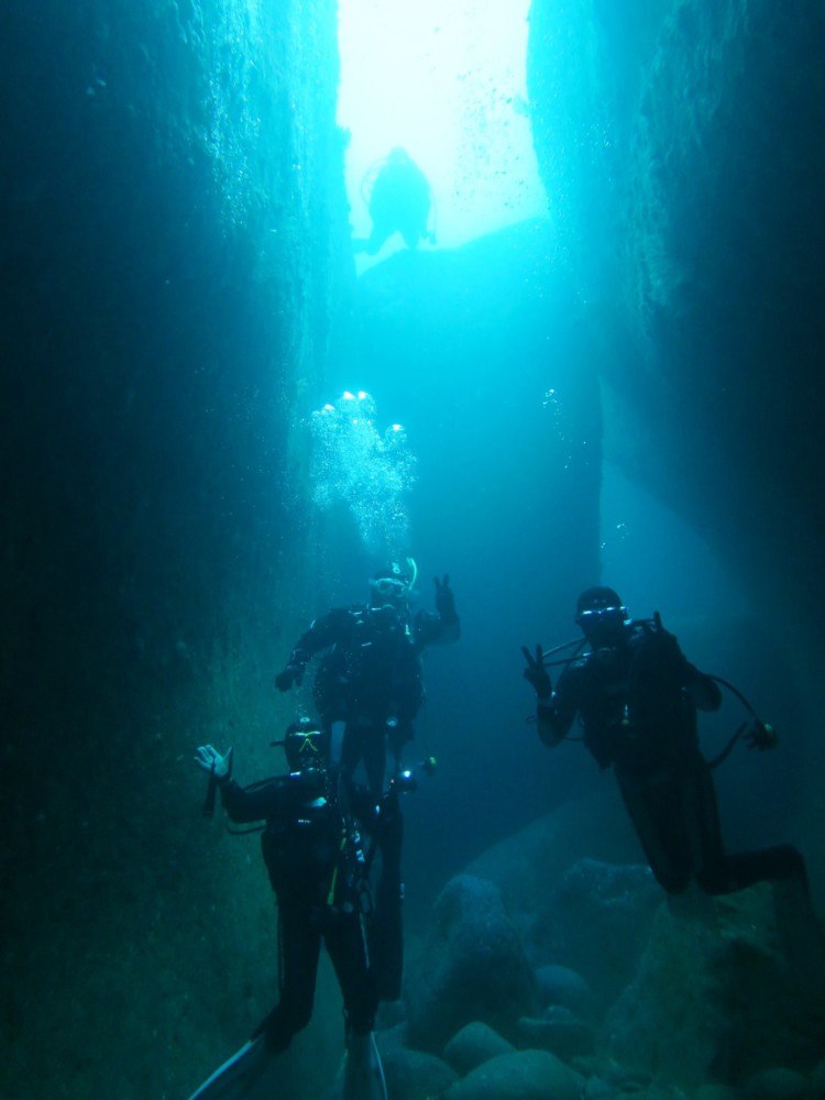 ２/１８　リクエストのツノザヤ＆カンナツノザヤウミウシ(^^)/