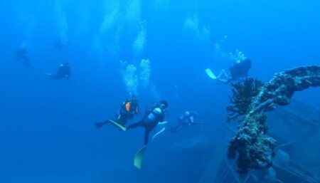 ドルフィンウェーブ沖縄ツアー初日