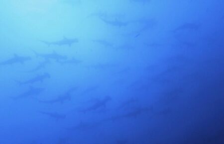 7月11日（金）神子元は強風で苦戦・・・