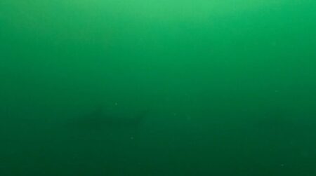 7月27日 (日)神子元：昨日と違う海に、言葉も出ません・・・・