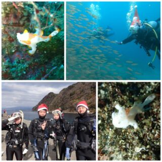 １２/１３　伊豆井田：富戸クローズ。。。西伊豆井田へ行ってきました＼(^o^)／