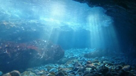 １２/１　南西はやっぱり富戸ホールへGO(*´∀`)♪