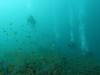 １２/６　伊豆富戸：ピラミッドの群れは最高＼(^o^)／　ビーチのタカベも最高^^v
