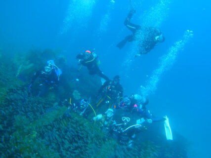 ２０２５年１２月３１日大晦日から２０２６年１月１日で潜り納め＆新年初潜り♪