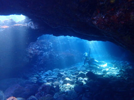 １/１３　光のカーテンとタカベの群れ！冬の富戸が最高(*´∀`)♪