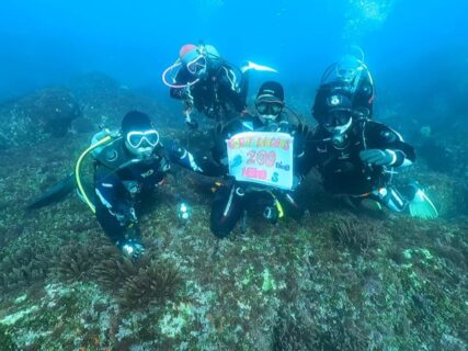 ２/２１　冬の伊豆大島ツアー初日：ウミガメのだらけの海に、イサキの大群＼(^-^)／