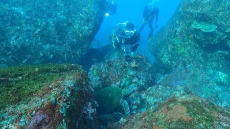 2/20〜23 冬のワイドマクロ満載伊豆大島ツアー　２日目