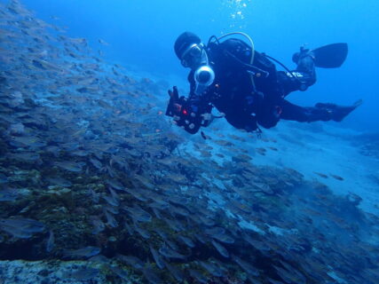 ３/２７　井田へ行ってきました(^^)/