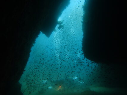 ４/２４　雲見に行ってきました(^o^)