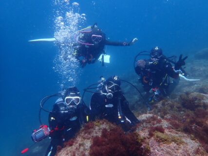 ４/２５　井田に行ってきました(^o^)