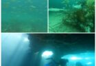 8月20日 神子元 初神子元チャレンジ!少しずつ上向きの海へ🦈🌊