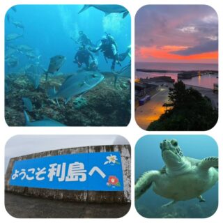 Dolphinwave利島１泊ダイビングツアー10月23日（金夜）～25日（日）